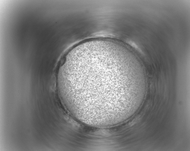 X0000068301358200605051922