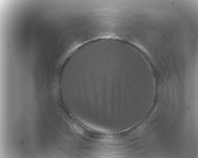 X0000068301359200605051922