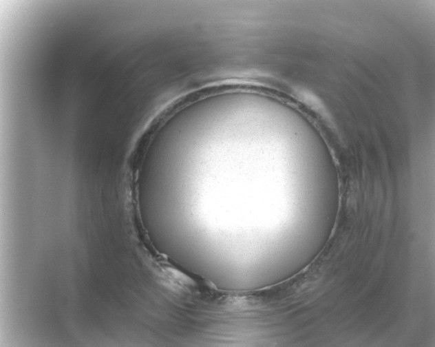 X0000068301360200605051922