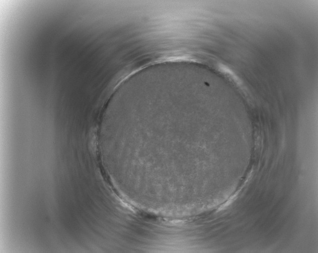 X0000068301361200605051922