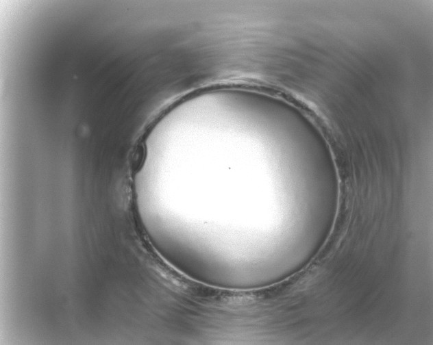 X0000068301363200605051922