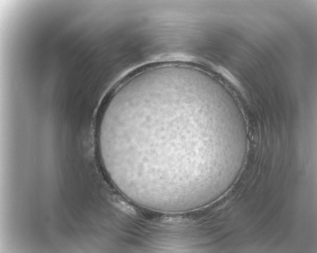 X0000068301364200605051922