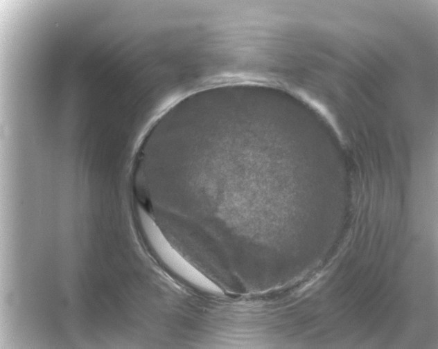 X0000068301365200605051922