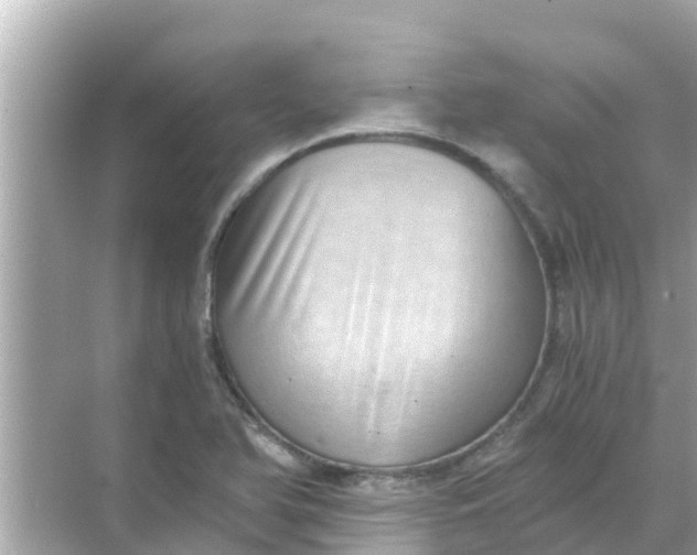 X0000068301366200605051922