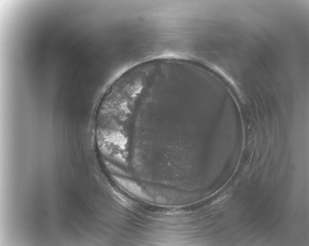 X0000068301367200605051922