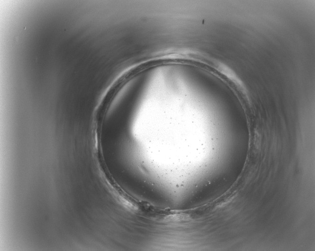 X0000068301368200605051922