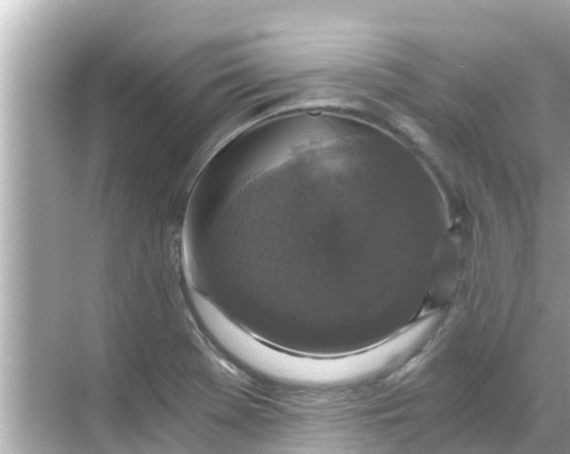 X0000068301369200605051922