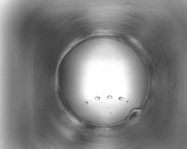 X0000068301370200605051922