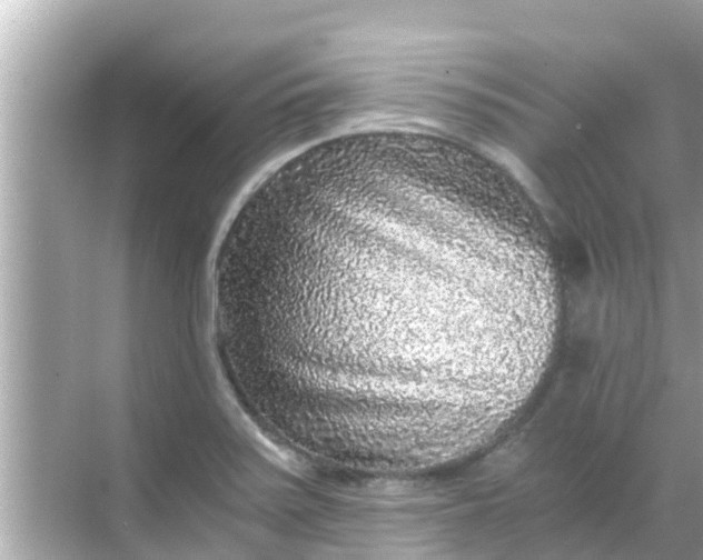 X0000068301371200605051922