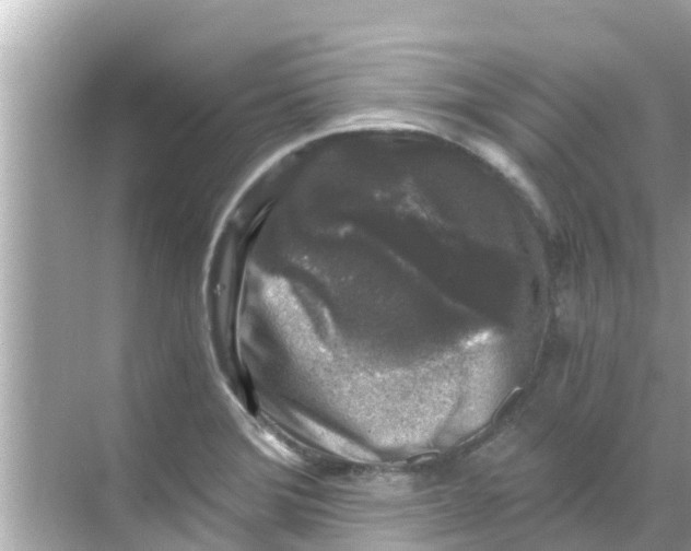 X0000068301372200605051922