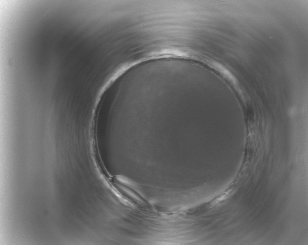 X0000068301373200605051922