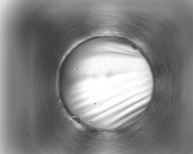 X0000068301374200605051922