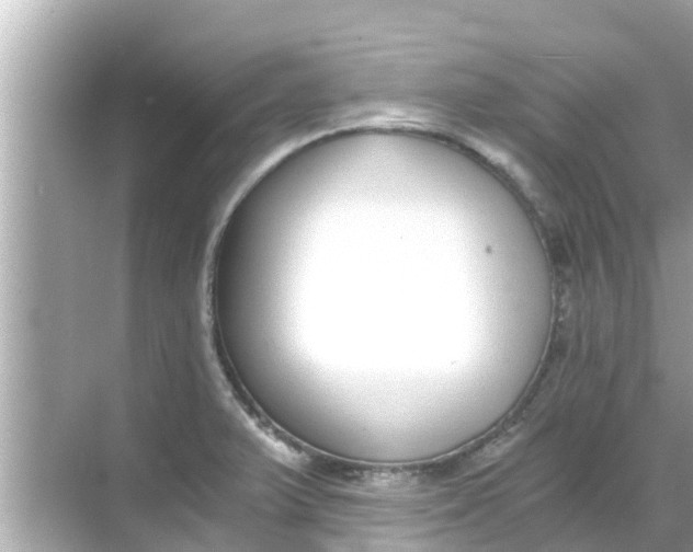 X0000068301375200605051922