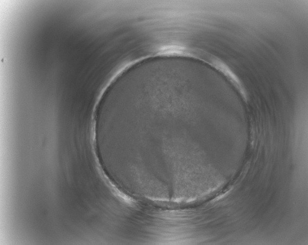 X0000068301376200605051922