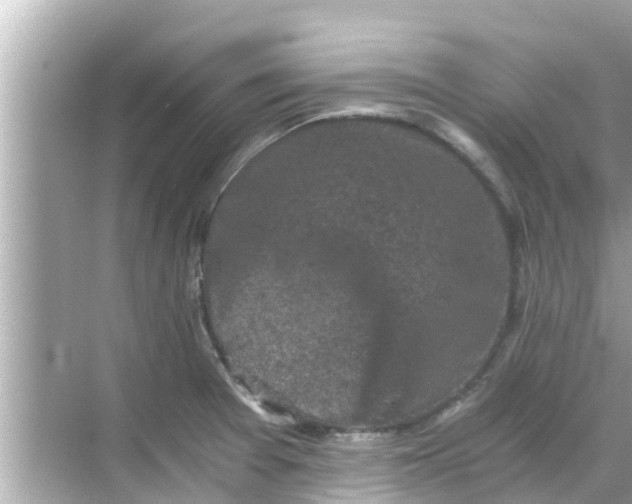 X0000068301377200605051922