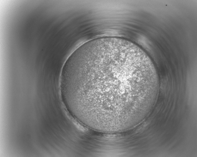 X0000068301378200605051922