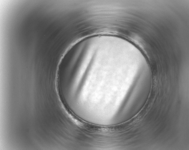 X0000068301379200605051922