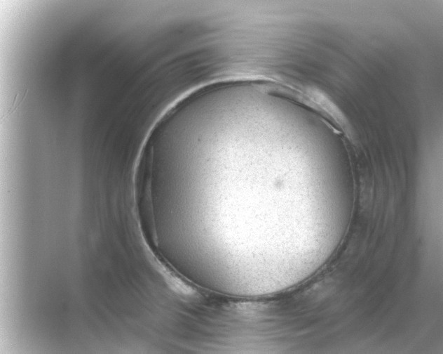 X0000068301380200605051922