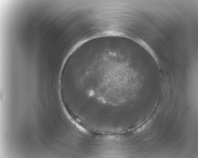 X0000068301381200605051922