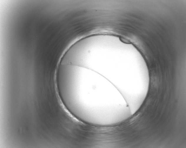 X0000068301382200605051922