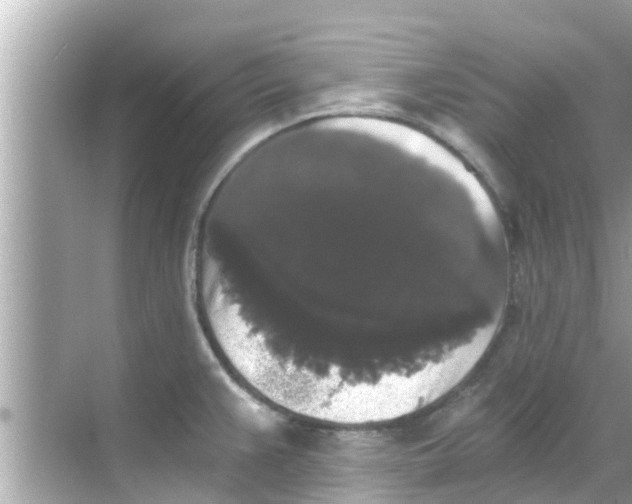 X0000068301383200605051922