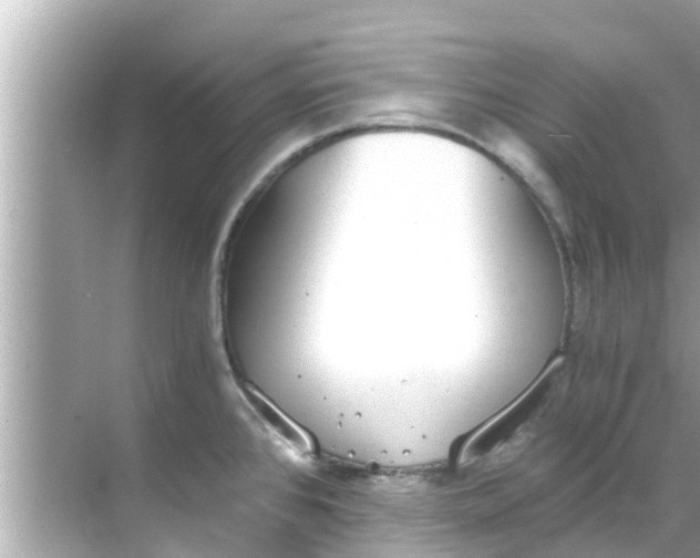 X0000068301384200605051922