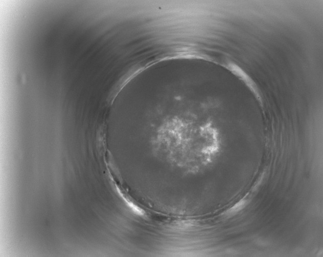 X0000068301385200605051922