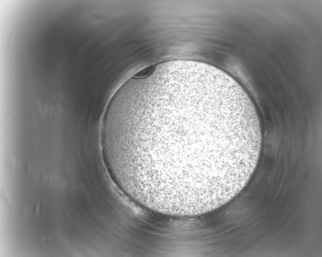 X0000068301386200605051922