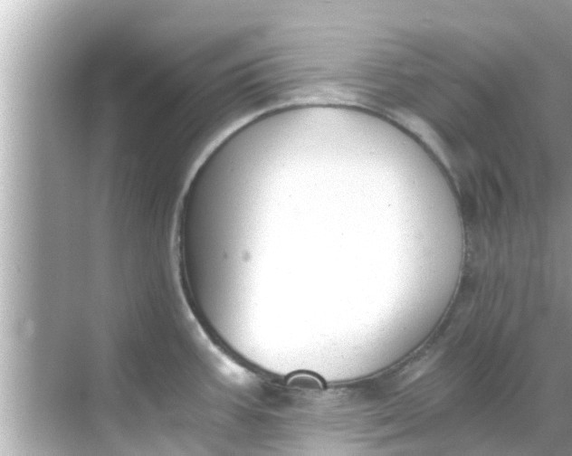 X0000068301387200605051922