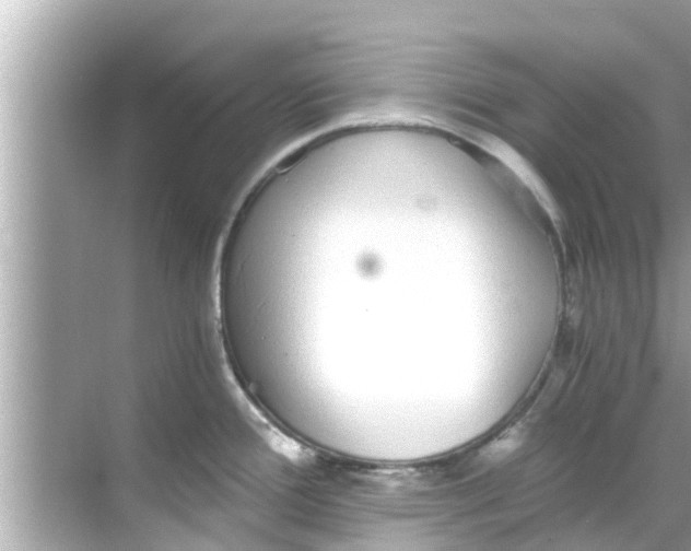 X0000068301388200605051922