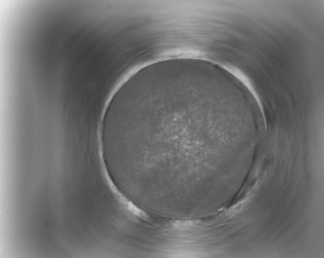 X0000068301389200605051922