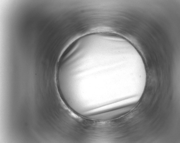 X0000068301390200605051922