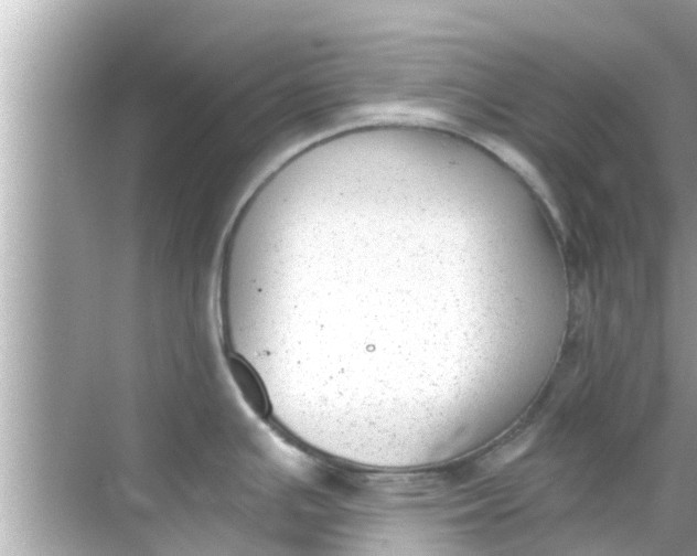 X0000068301391200605051922