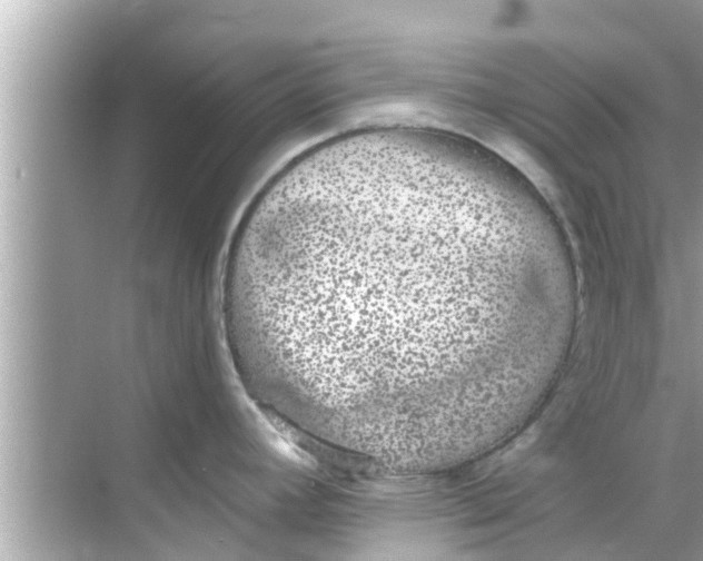 X0000068301392200605051922