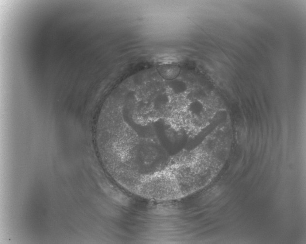 X0000068301393200605051921