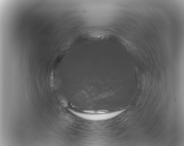 X0000068301394200605051921