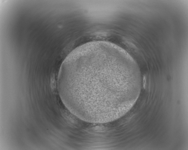 X0000068301395200605051921