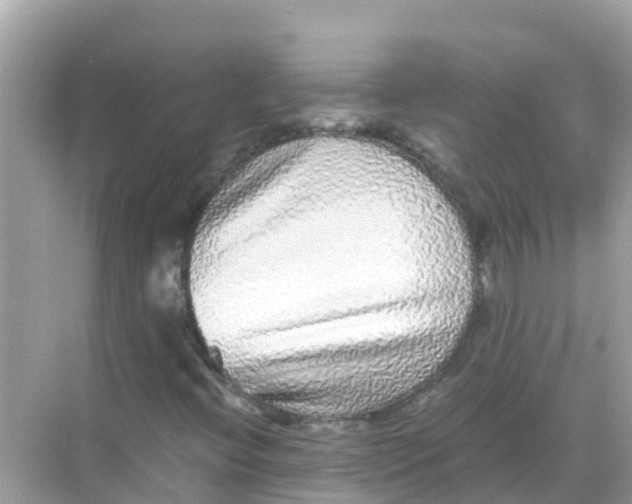 X0000068301396200605051921