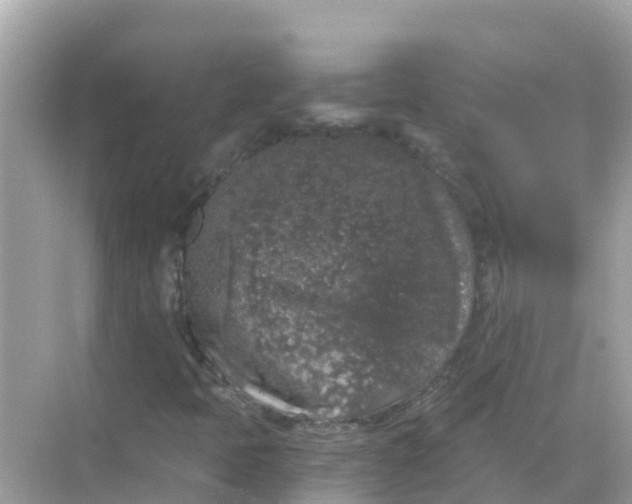 X0000068301397200605051921