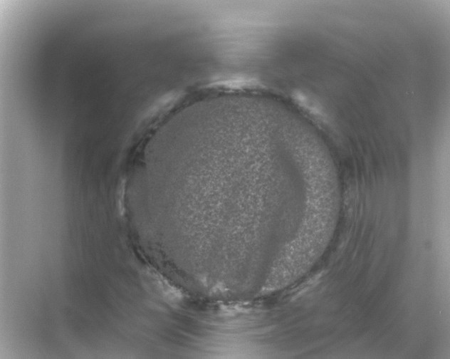 X0000068301398200605051921