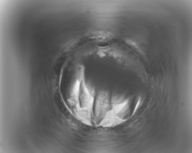 X0000068301399200605051921