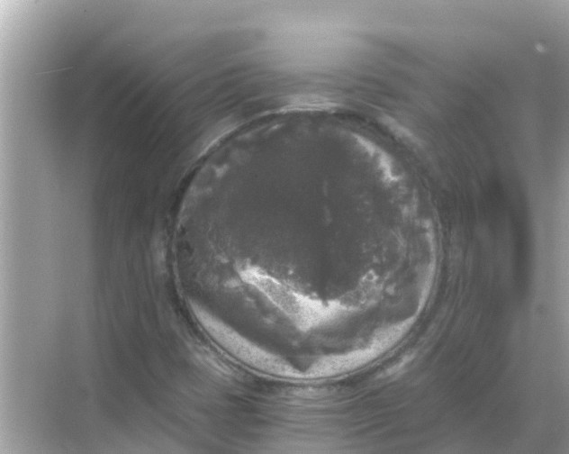 X0000068301401200605051921