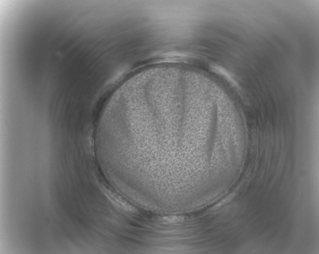 X0000068301403200605051921