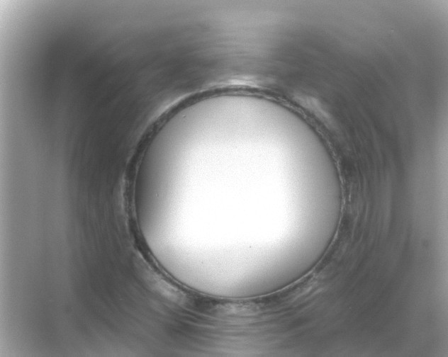 X0000068301404200605051921