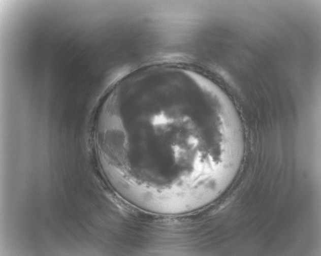 X0000068301405200605051921