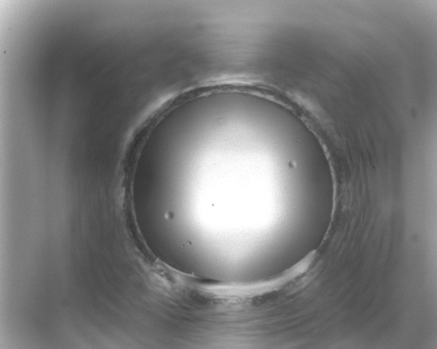 X0000068301406200605051921