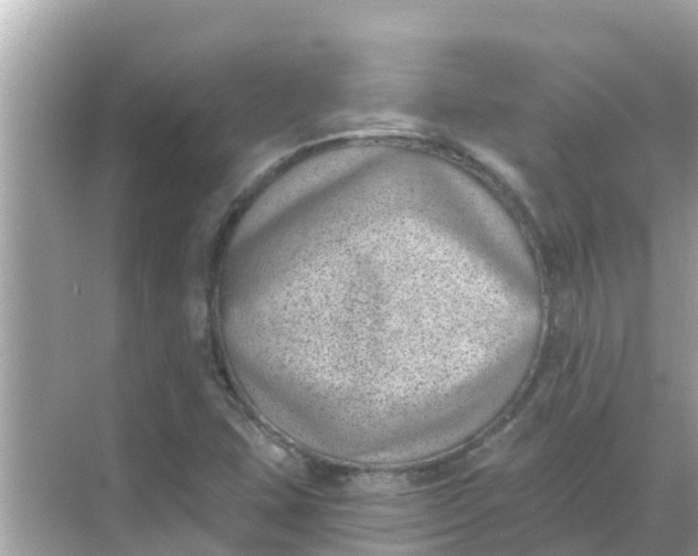 X0000068301407200605051921