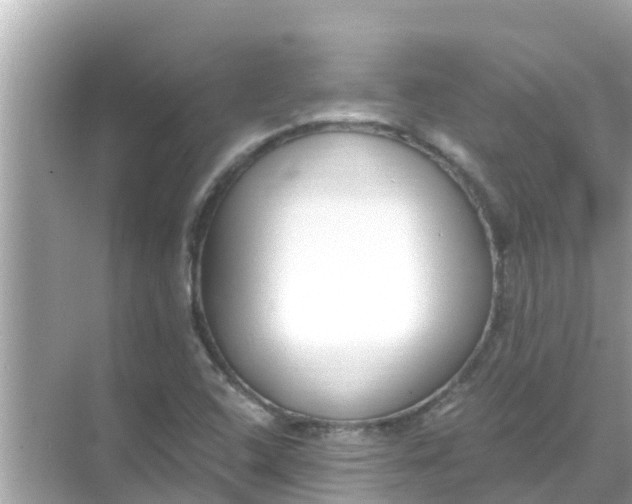 X0000068301408200605051921