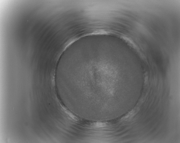 X0000068301409200605051921