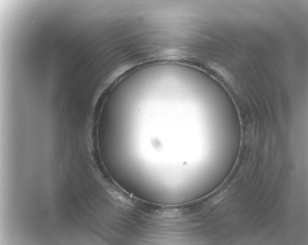 X0000068301410200605051921